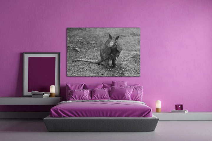 deyoli niedliches Gürteltier auf den Hinterbeinen Effekt: Schwarz/Weiss Format: 80x60 als Leinwand,