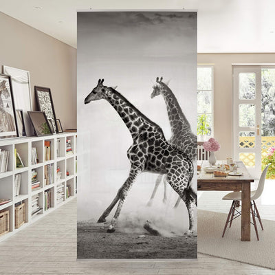 Bilderwelten Raumteiler Giraffenjagd 250x120cm inkl. transparenter Halterung 250x120cm incl. transpa