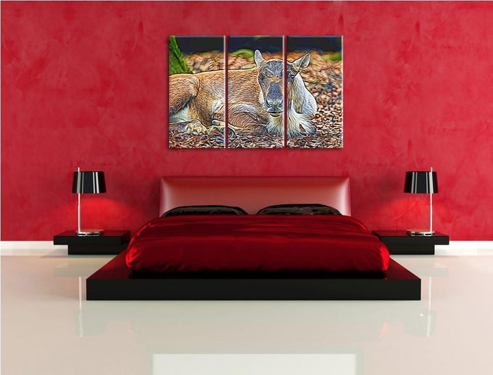 junger Elch Spezial 3-Teiler Leinwandbild 120x80 Bild auf Leinwand, XXL riesige Bilder fertig gerahm