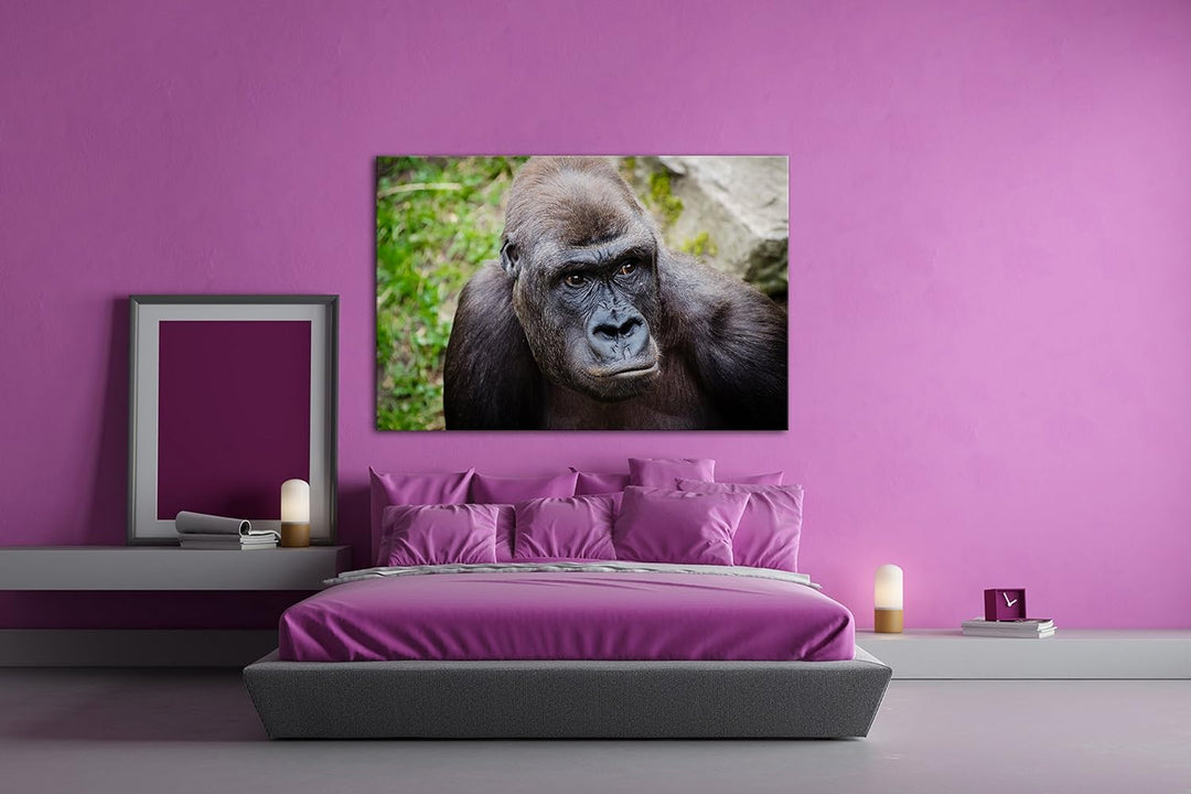 deyoli Grosser schwarzer Gorilla Format: 80x60 als Leinwandbild, Motiv fertig gerahmt auf Echtholzra