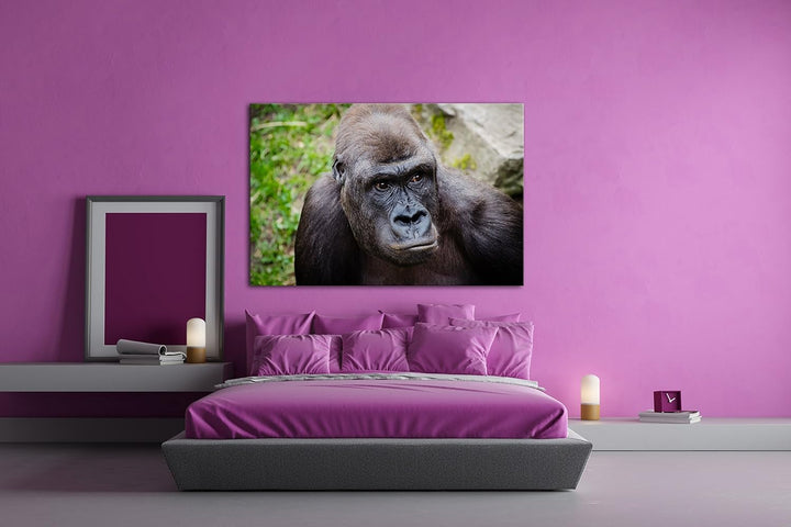 deyoli Grosser schwarzer Gorilla Format: 80x60 als Leinwandbild, Motiv fertig gerahmt auf Echtholzra