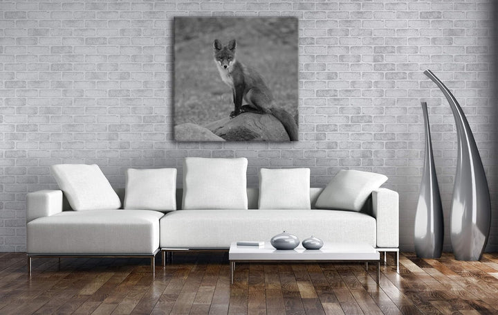 deyoli abwartender Fuchs Format: 70x70 Effekt: Schwarz&Weiss als Leinwandbild, Motiv auf Echtholzrah