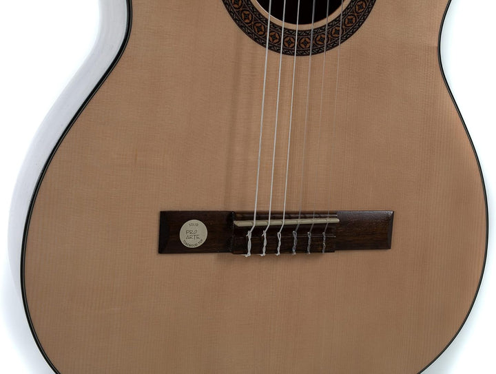 Gewa Konzertgitarre Pro Arte GC210A 4/4 Grösse, Made in Europa, GC210A 4/4