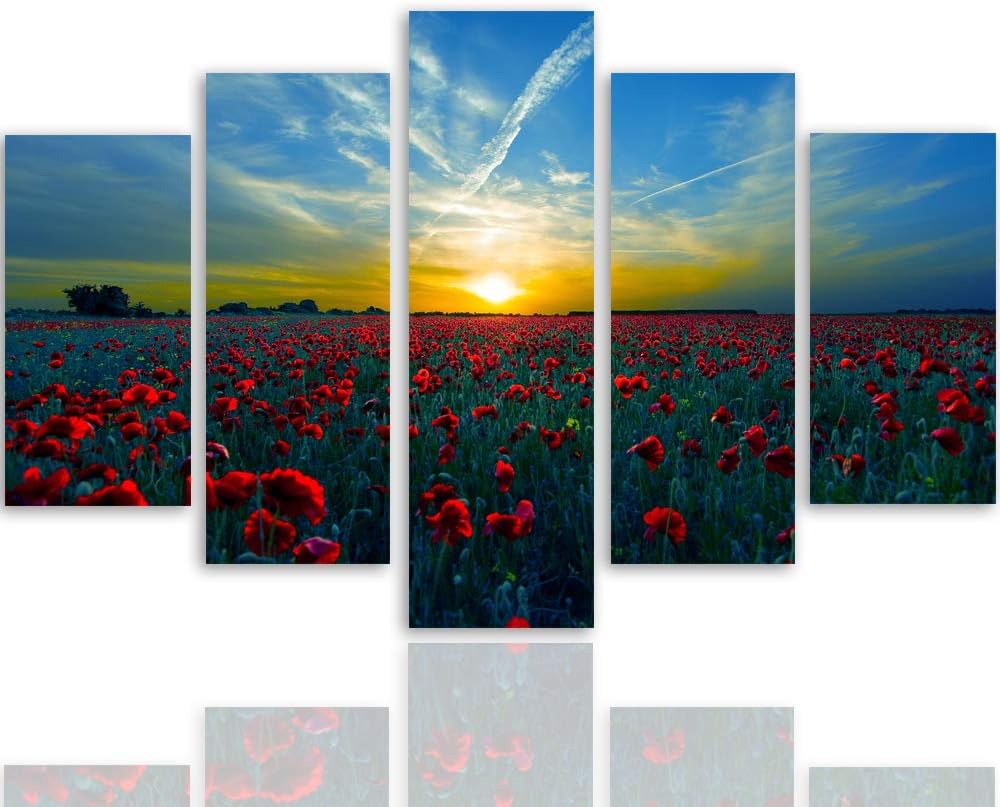 Feeby Bilder Mohnblumen 150x100 cm - Leinwandbild 5 Teilig XXL Kunstdruck Wiese blau Leinwandbild XX