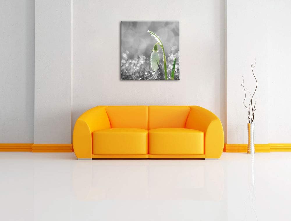 Pixxprint Schneeglöckchen im Morgentau als Leinwandbild Quadratisch/Grösse: 70x70 / Wandbild/Kunstdr