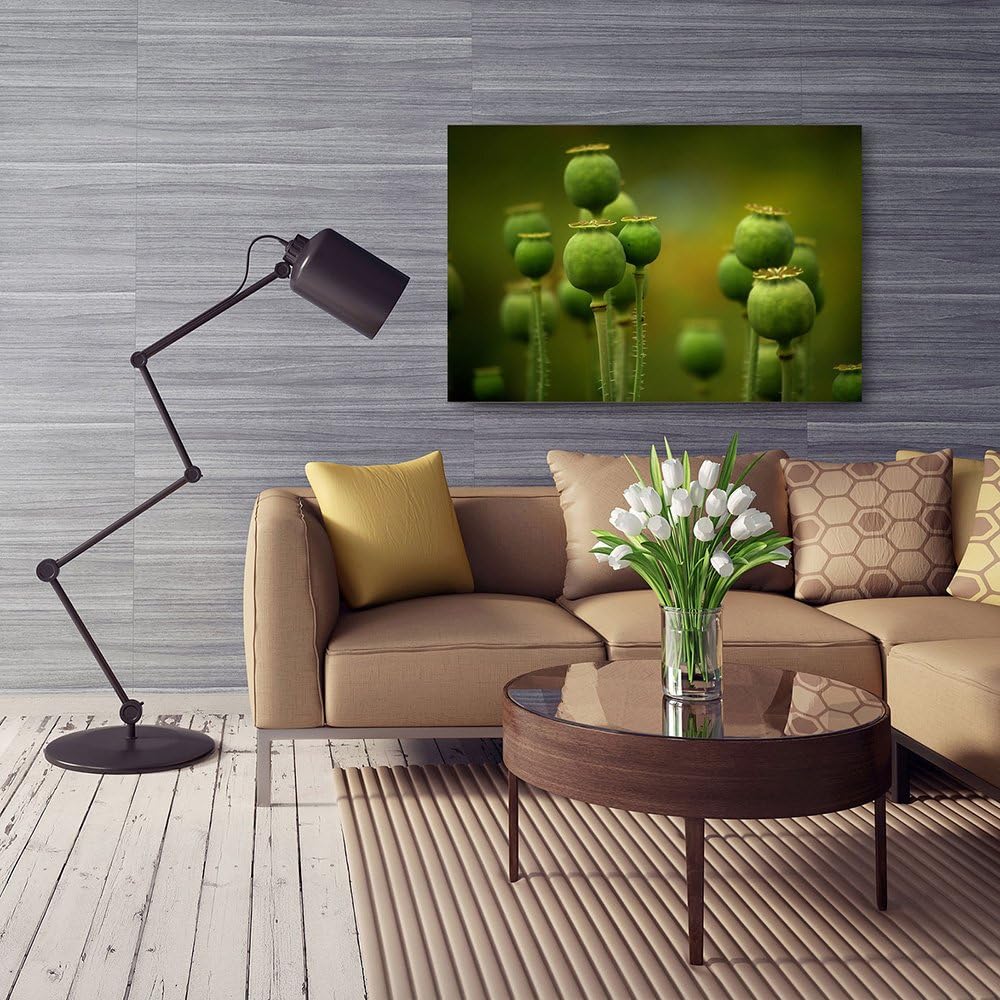 Feeby. Wandbilder - 1 Teilig- 50x70 cm - Bilder Kunstdrucke Deko Panel, MOHN, NATUR, GRÜN, 50x70 cm