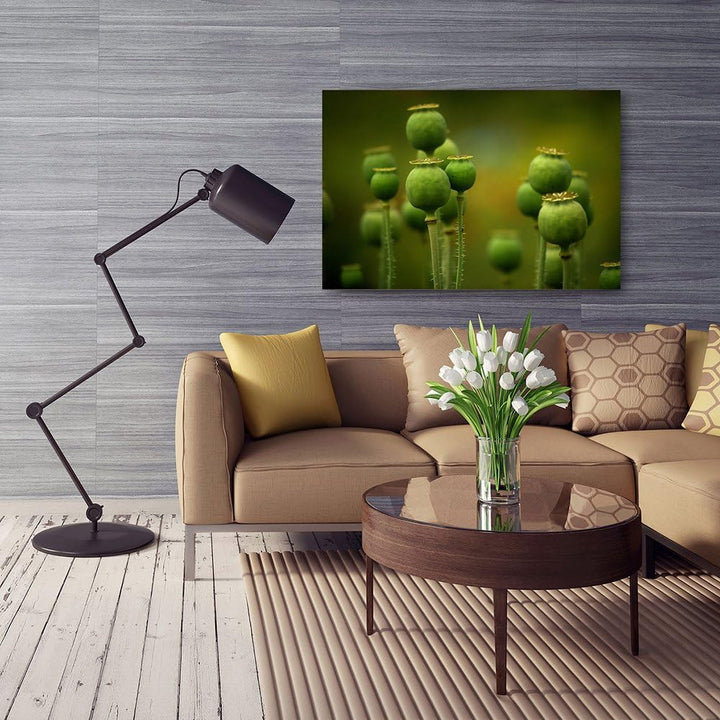 Feeby. Wandbilder - 1 Teilig- 50x70 cm - Bilder Kunstdrucke Deko Panel, MOHN, NATUR, GRÜN, 50x70 cm