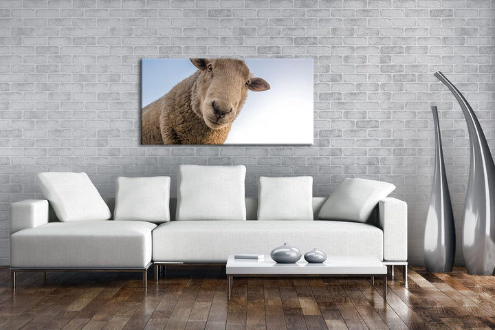 lustiges Schaf Panorama 120x60 cm als Leinwandbild, Motiv fertig gerahmt auf Echtholzrahmen, Hochwer