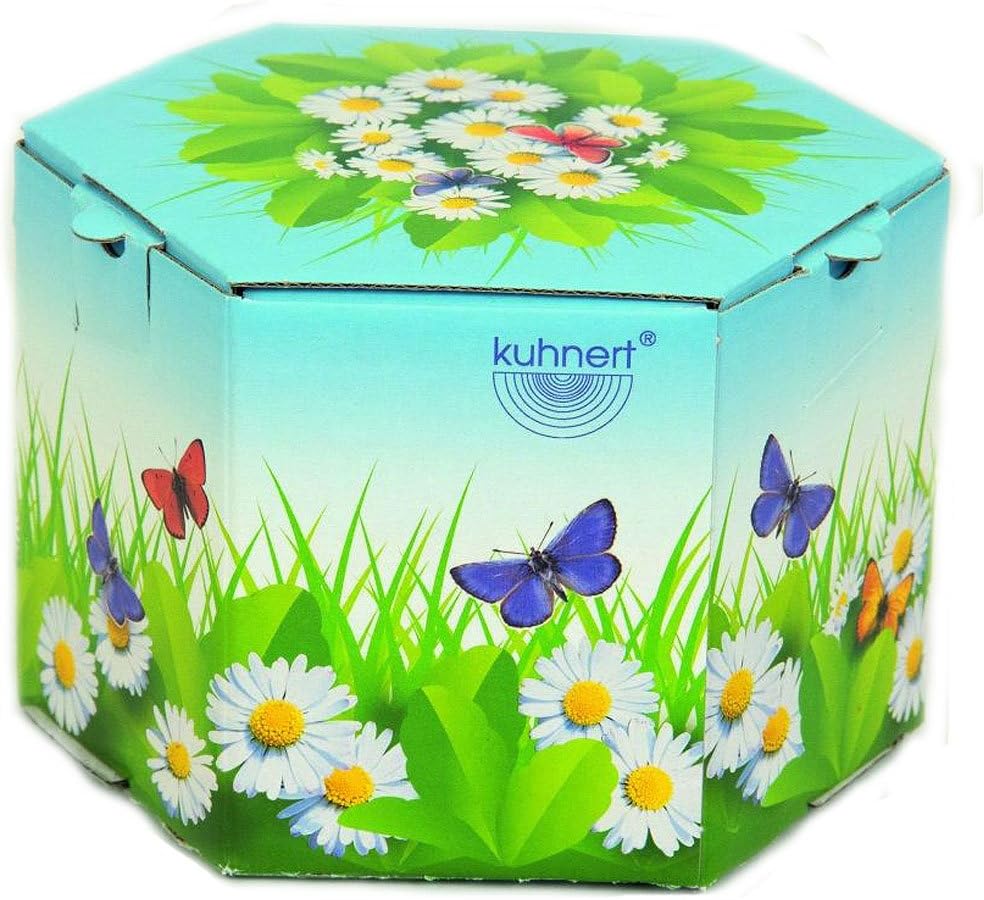 Drechslerei Kuhnert - Osterdekoration / Osterhase - Stupsi Hase mit Laptop - 12cm - aus Holz - Made