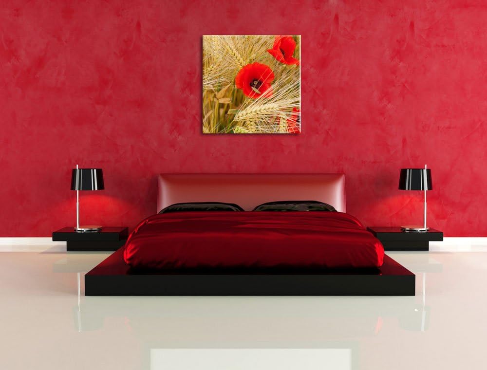 Pixxprint Mohnblumen auf dem Mais-Feld als Leinwandbild/Grösse: 70x70 cm/Wandbild/Kunstdruck/fertig