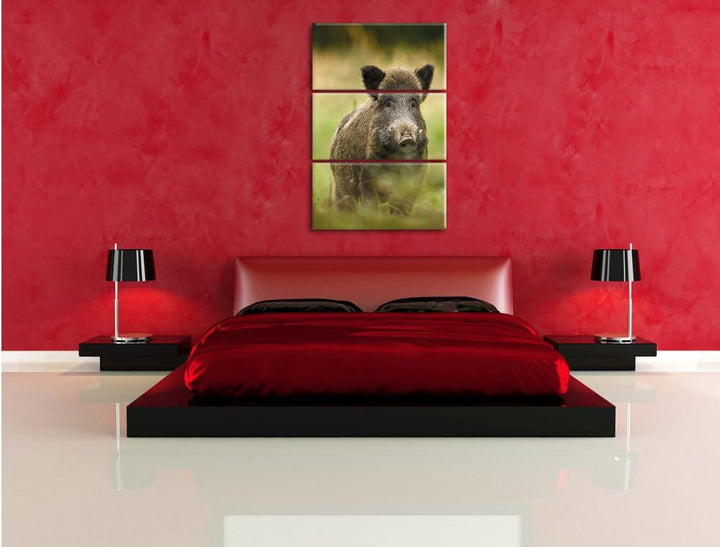 Pixxprint Wildschwein auf Wiese als Leinwandbild | Grösse: 3 Teilig (120x80) | Wandbild| Kunstdruck