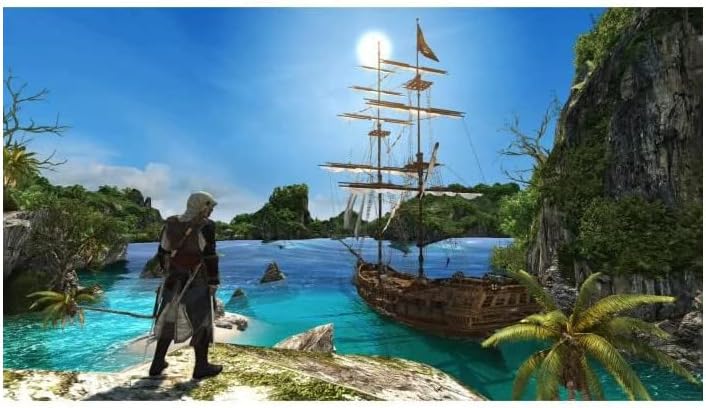 Assassin's Creed Schwarze Flagge + Rogue – Schalter