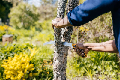 Fiskars Profi Handsäge für frisches Holz, Grobzahnung, Hochwertiges Stahl-Sägeblatt, Inklusive Aufbe