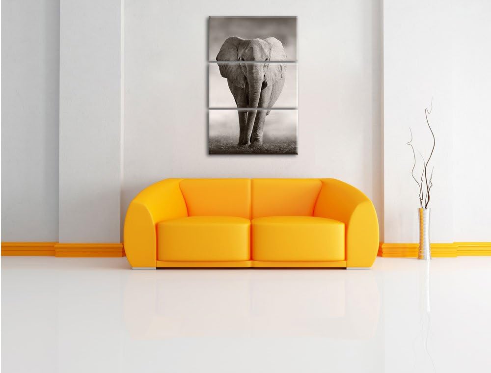 Pixxprint Elefant in Savanne 3-Teiler Leinwandbild 120x80 Bild auf Leinwand