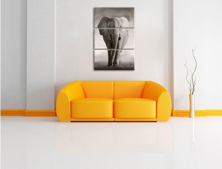 Pixxprint Elefant in Savanne 3-Teiler Leinwandbild 120x80 Bild auf Leinwand