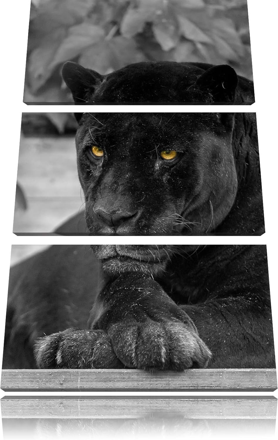 Pixxprint schwarzer Panther als Leinwandbild/Grösse: 3 Teilig (120x80) cm/Wandbild/Kunstdruck/fertig