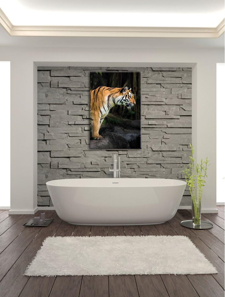 Pixxprint Tiger, Format: 100x70 auf Leinwand, XXL riesige Bilder fertig gerahmt mit Keilrahmen, Kuns