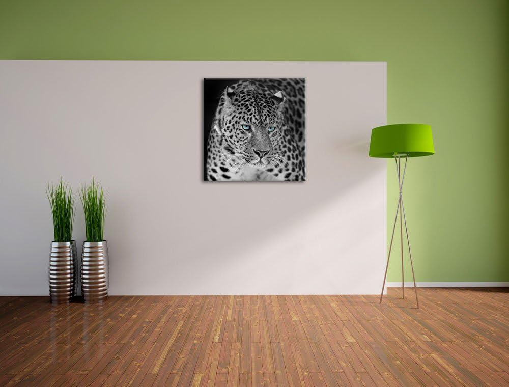 Pixxprint Prächtiger Leopard als Leinwandbild/Grösse: 70x70 cm/Wandbild/Kunstdruck/fertig bespannt,