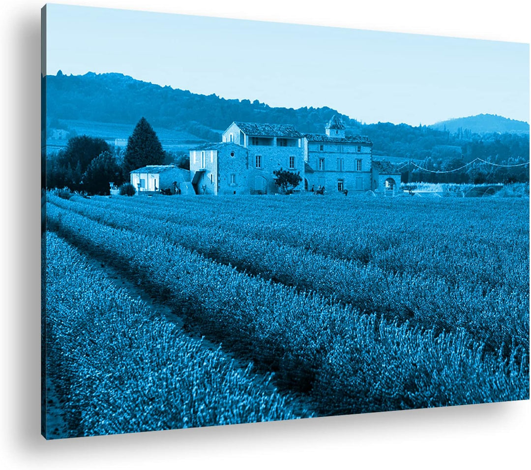 deyoli beeindruckendes Lavendelfeld in Frankreich Format 80x60 Effekt: Monocrome Blau als Leinwandbi