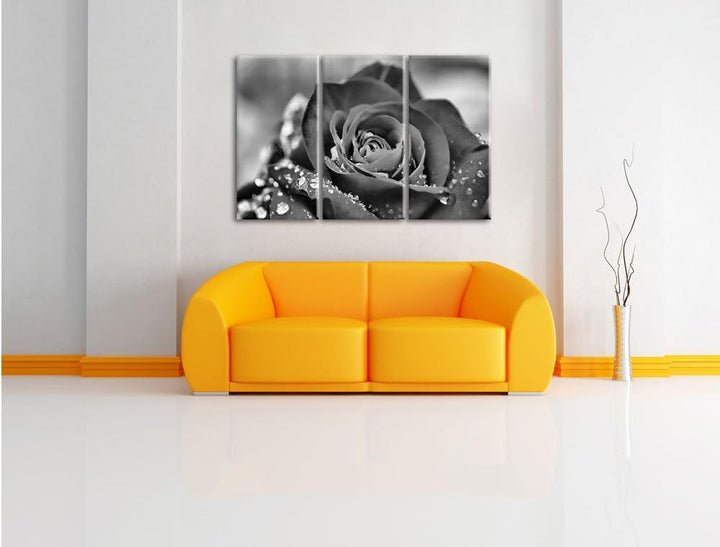 Pixxprint Rose mit Wassertropfen als Leinwandbild/Grösse: 3 Teilig (120x80) cm/Wandbild/Kunstdruck/f