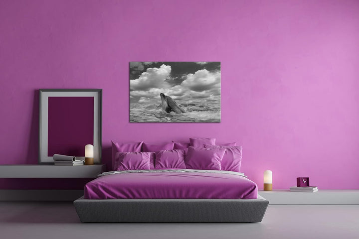 deyoli zauberhafter Delfin Effekt: Schwarz&Weiss Format: 80x60 als Leinwandbild, Motiv fertig gerahm