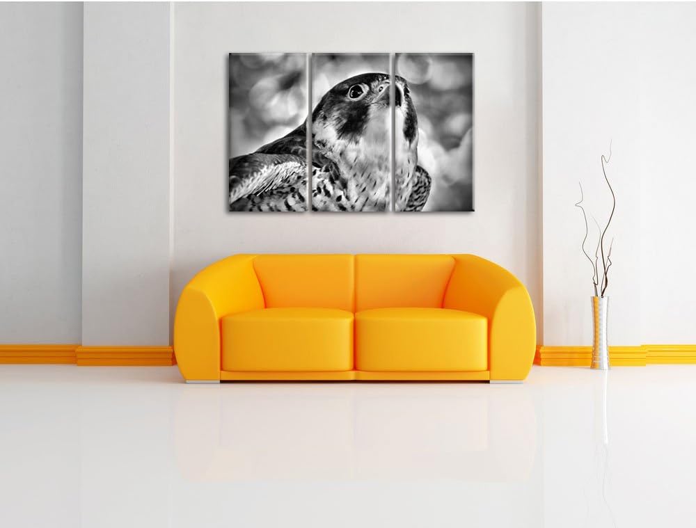 Pixxprint schöner Grauer Adler als Leinwandbild | Grösse: 3 Teilig (120x80) | Wandbild| Kunstdruck |