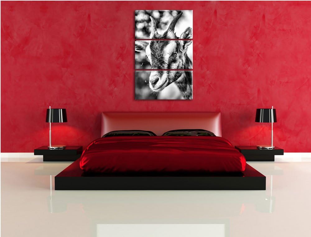 Pixxprint Niedliche Ziege als Leinwandbild/Grösse: 3 Teilig (120x80) cm/Wandbild/Kunstdruck/fertig b