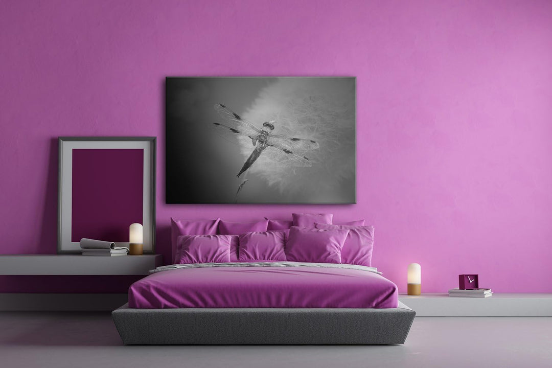 deyoli stolze Libelle Format: 80x60 Effekt: Schwarz/Weiss als Leinwand, Motiv fertig gerahmt auf Ech