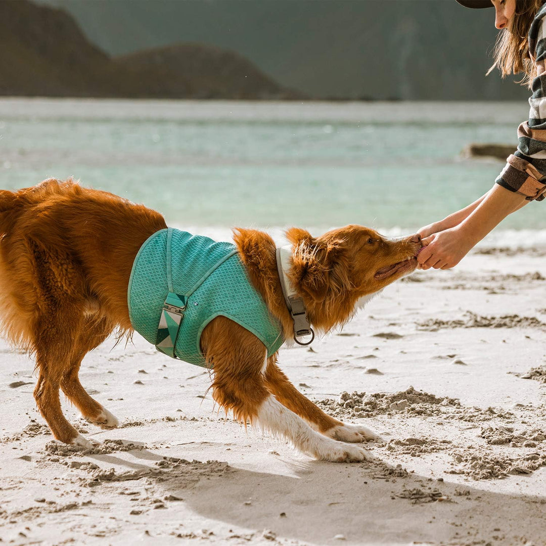 Hurtta Cooling Wrap Kühlweste für Hunde Sommer Kühlweste Aquamarin Hellblau 75-85cm aquamarine 75-85