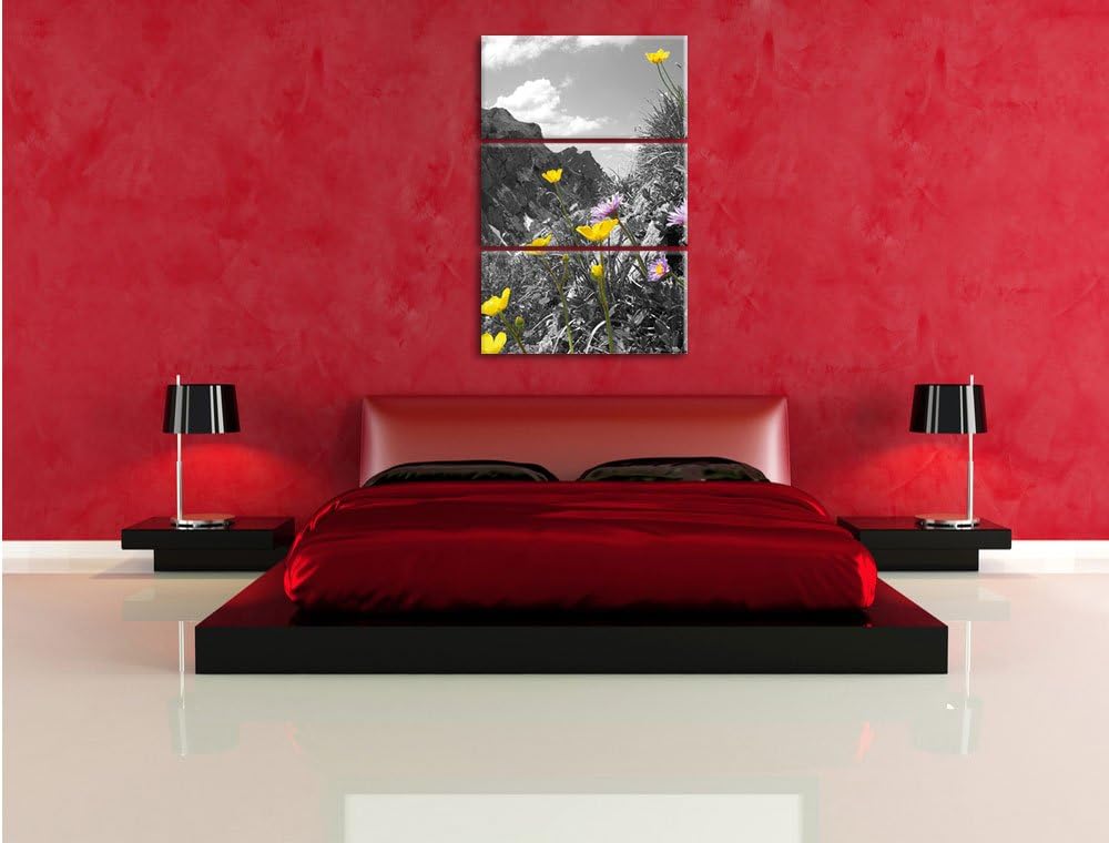 Pixxprint Traumhafte Blumenwiese im Frühling schwarz/weiss 3-Teiler Leinwandbild 120x80 Bild auf Lei