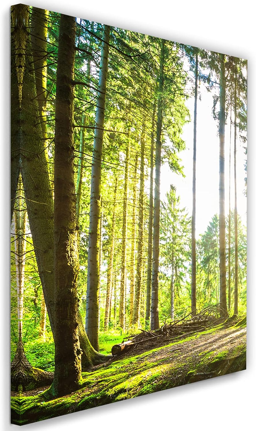 Feeby Wandbilder Wald Landschaft Sonnenstrahlen XXL 60x90 cm 1Teilig Modern Vlies Bilder Leinwandbil