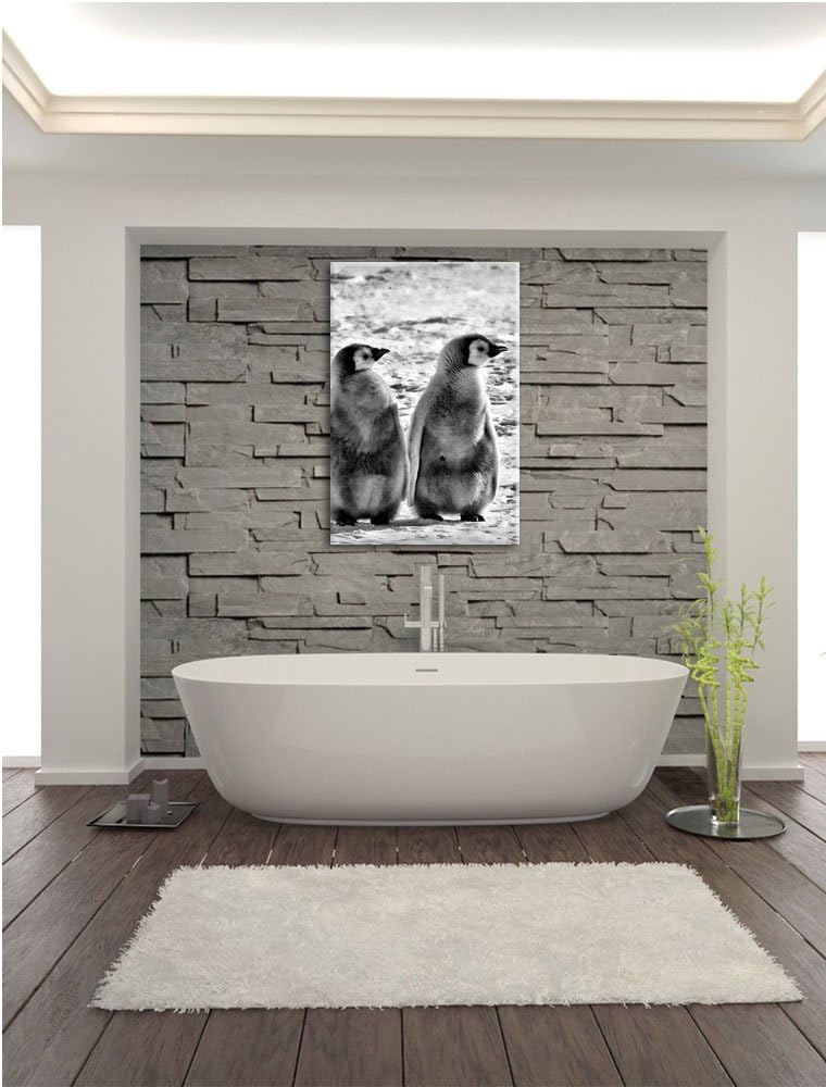 Pixxprint Kaiserpinguin-Küken/Format: 100x70cm / Leinwandbild fertig bespannt Wandbild Kunstdruck, 1
