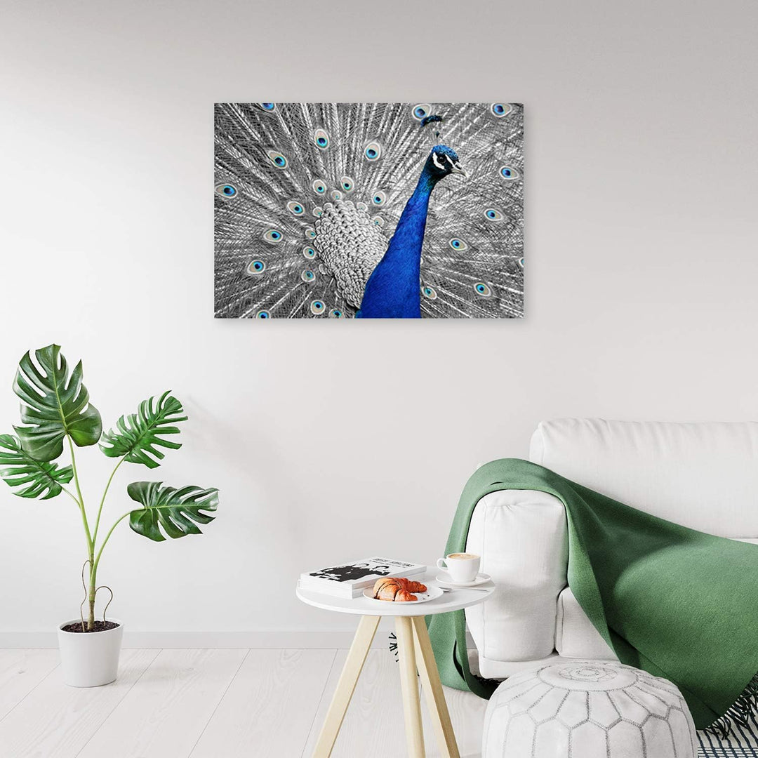 Feeby Bild auf Leinwand Pfau Kunstdruck modern Vogel Blau 90x60 cm M14236 90x60 cm, M14236 90x60 cm