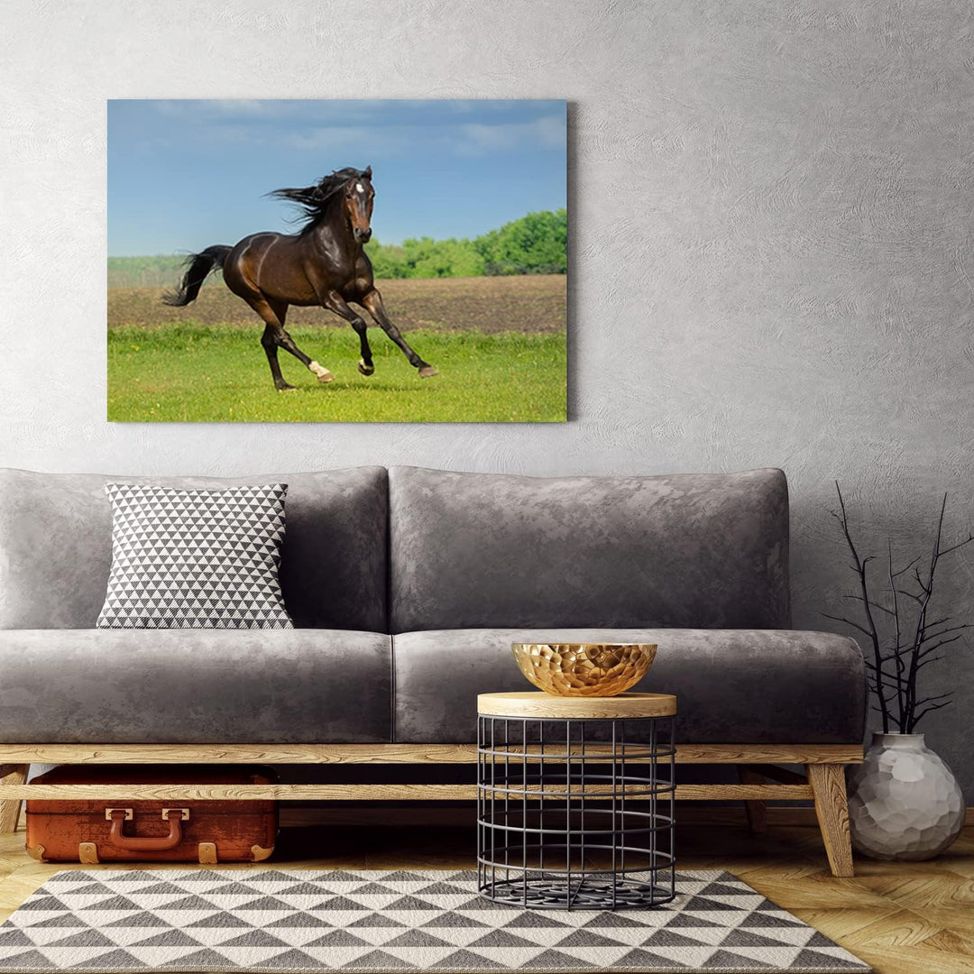 Feeby Vlies Leinwandbild Pferd Frei Laufen Wiese 90x60 cm Druckbild Wandbild Wanddekoration Deko Wan