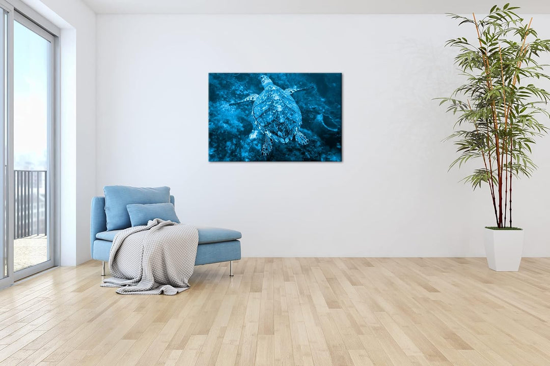 deyoli anmutige Schildkröte Format 80x60 Effekt: Monocrome Blau als Leinwandbild, Motiv fertig gerah