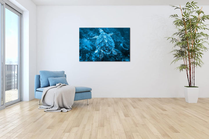 deyoli anmutige Schildkröte Format 80x60 Effekt: Monocrome Blau als Leinwandbild, Motiv fertig gerah