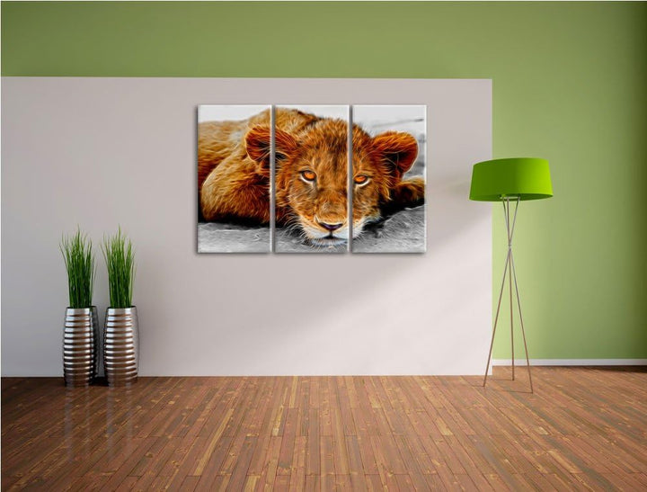 schläfriger junger Löwe schwarz/weiss Deluxe 3-Teiler Leinwandbild 120x80 Bild auf Leinwand, XXL rie