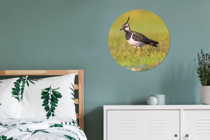 MuchoWow Wandbild Rund Wanddeko Deko Wohnzimmer Bilder 60x60 cm Vogel - Gras - Natur - Tiere - Kiebi