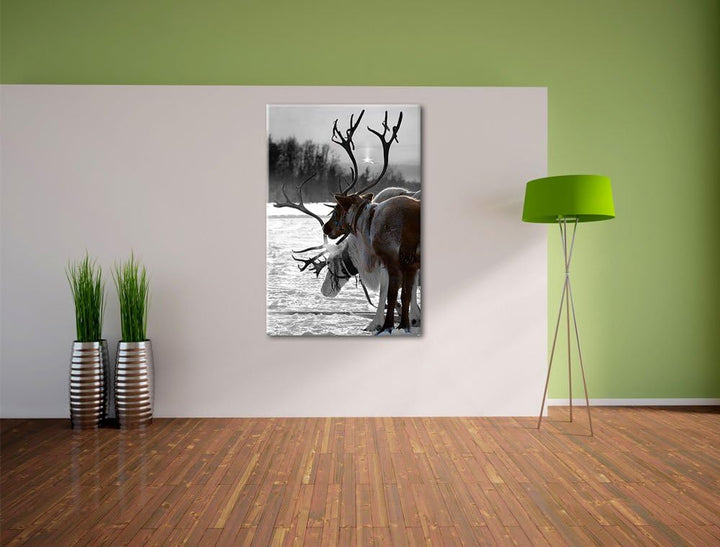 Rentiere im Schnee schwarz/weiss Format: 100x70 auf Leinwand, XXL riesige Bilder fertig gerahmt mit