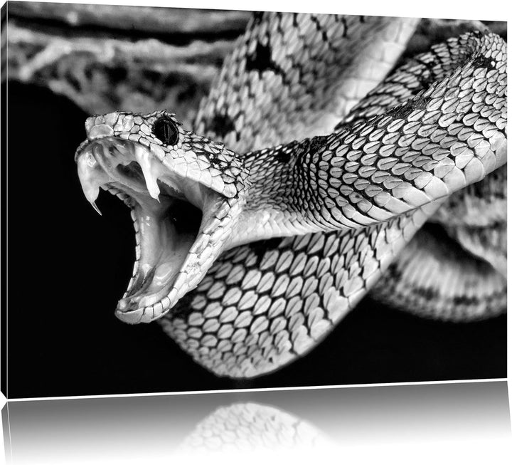 Pixxprint Giftige grüne Schlange als Leinwandbild/Grösse: 100x70 cm/Wandbild/Kunstdruck/fertig bespa