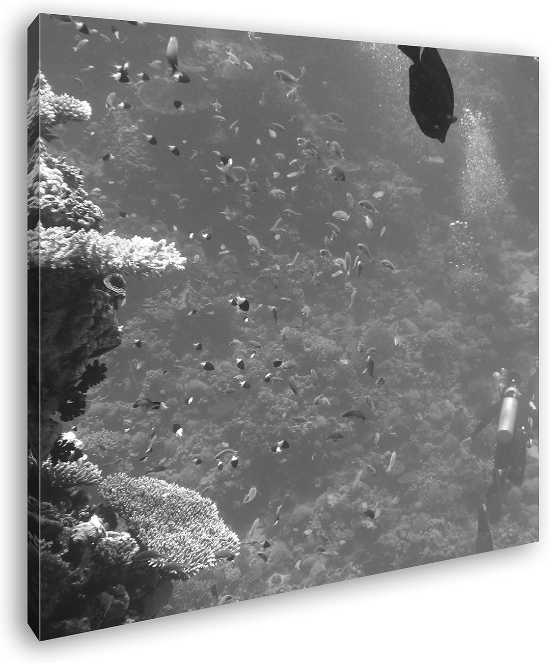 deyoli Fische an einem atemberaubenden Korallenriff Format: 70x70 Effekt: Schwarz&Weiss als Leinwand