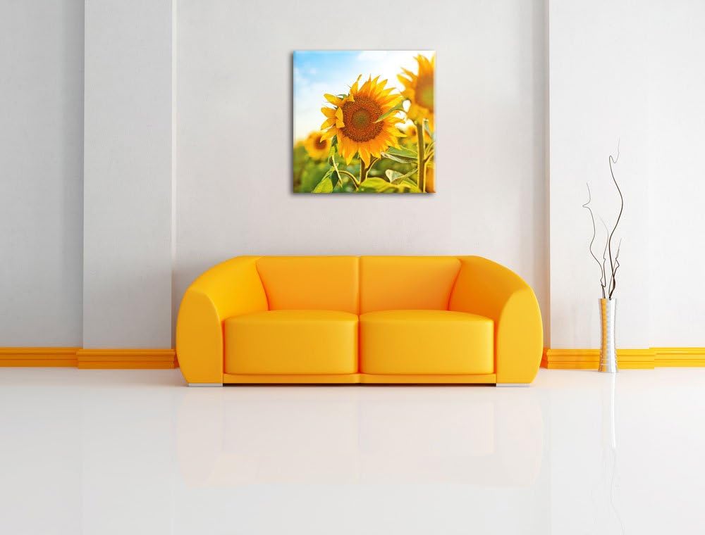 Pixxprint Strahlendes Sonnenblumenfeld, Format: 70x70 auf Leinwand, 70x70