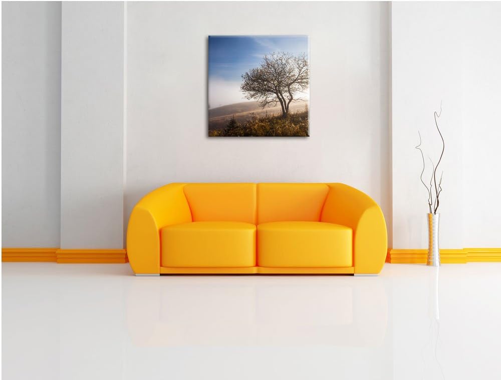 Pixxprint Baum im hohen Gras als Leinwandbild | Grösse: 70x70 cm | Wandbild | Kunstdruck | fertig be