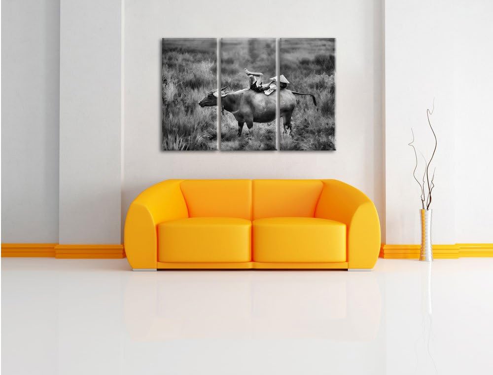Pixxprint Monocrome, Wasserbüffel trägt Kind 3-Teiler Leinwandbild 120x80 Bild auf Leinwand