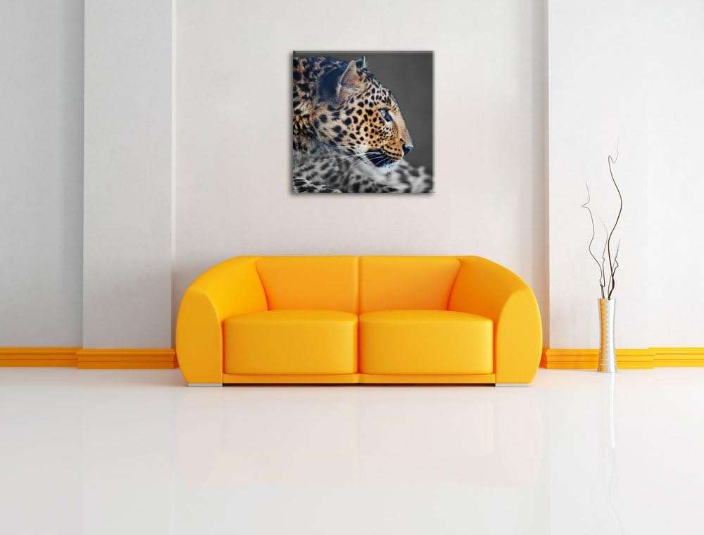 Pixxprint Wachsamer Gepard Schwarz/Weiss, Format: 70x70 auf Leinwand, 70x70