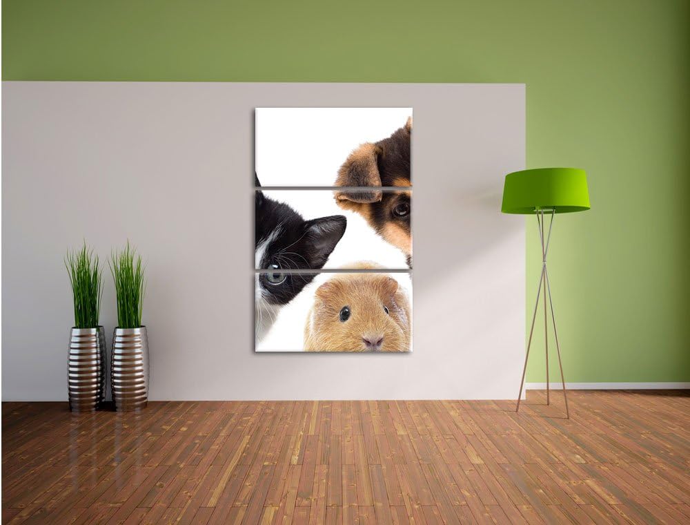 Pixxprint Trio Hund Katze Meerschwein / 3-Teilig/Gesamtmass 120cm Leinwandbild bespannt auf Holzrahm
