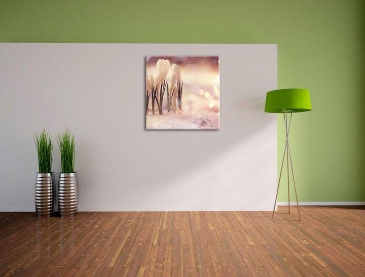 Pixxprint Schneeglöckchen im Frühjahr als Leinwandbild Quadratisch/Grösse: 70x70 / Wandbild/Kunstdru