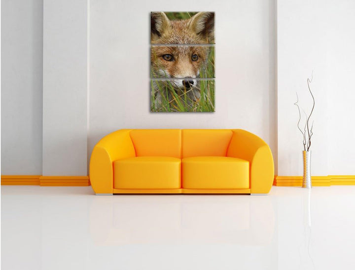Pixxprint junger Fuchs auf Wiese als Leinwandbild/Grösse: 3 Teilig (120x80) cm/Wandbild/Kunstdruck/f
