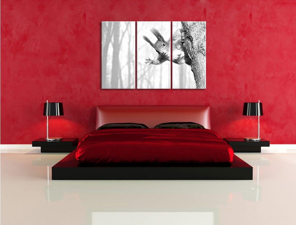 Pixxprint Neugierig rotes Eichhörnchen Kunst B&W 3-Teiler Leinwandbild 120x80 Bild auf Leinwand