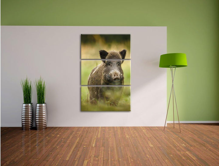 Pixxprint Wildschwein auf Wiese als Leinwandbild | Grösse: 3 Teilig (120x80) | Wandbild| Kunstdruck